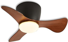 22 Inch Small Black Ceiling Fan with Lights