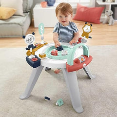 Fisher-Price Baby to Toddler Toy