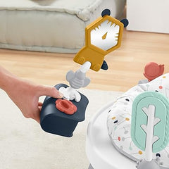 Fisher-Price Baby to Toddler Toy