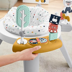 Fisher-Price Baby to Toddler Toy