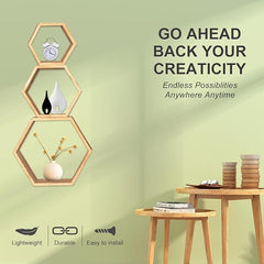 PHOENANCEE Hexagon Floating Shelves-BNIB