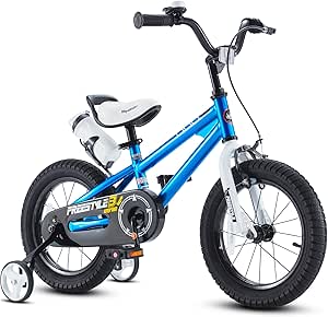 Royalbaby Kids' Bike for Boys and Girl -12Inch- Blue