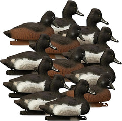 Standard Ringneck Duck Decoys