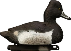 Standard Ringneck Duck Decoys