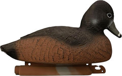 Standard Ringneck Duck Decoys