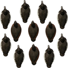 Standard Ringneck Duck Decoys