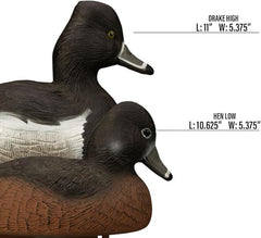 Standard Ringneck Duck Decoys