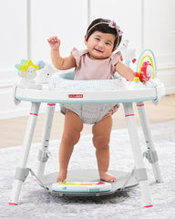 Skip Hop Baby Activity Center