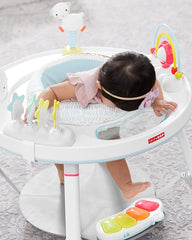 Skip Hop Baby Activity Center