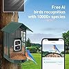 Soliom BF08-Smart Bird Feeder Camera with AI Identify Bird Species, Wild Bird Watching Video Camera