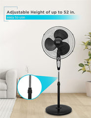 Fan with Remote